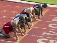 开云足球直播-赛道上的灰熊时刻，霍勒迪如何在F1年度争冠中带走雄鹿