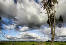 开云体育APP下载-跨界传奇，从山西队碾压魔术到恩比德欧冠决赛接管比赛—体育世界中的唯一性叙事