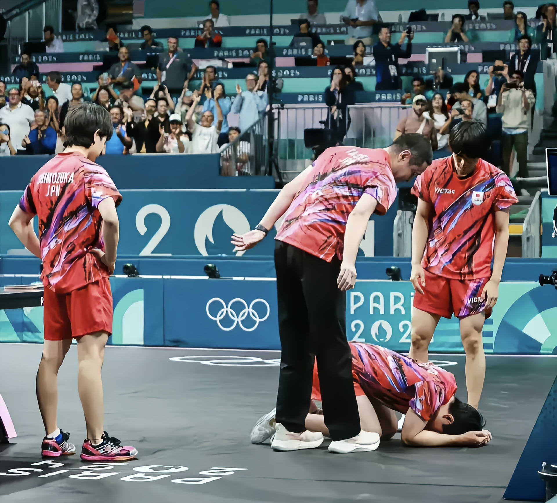 关于法国队险胜奥地利队,张本智和高光表现的信息 关于法国队险胜奥地利队,张本智和高光表现的信息