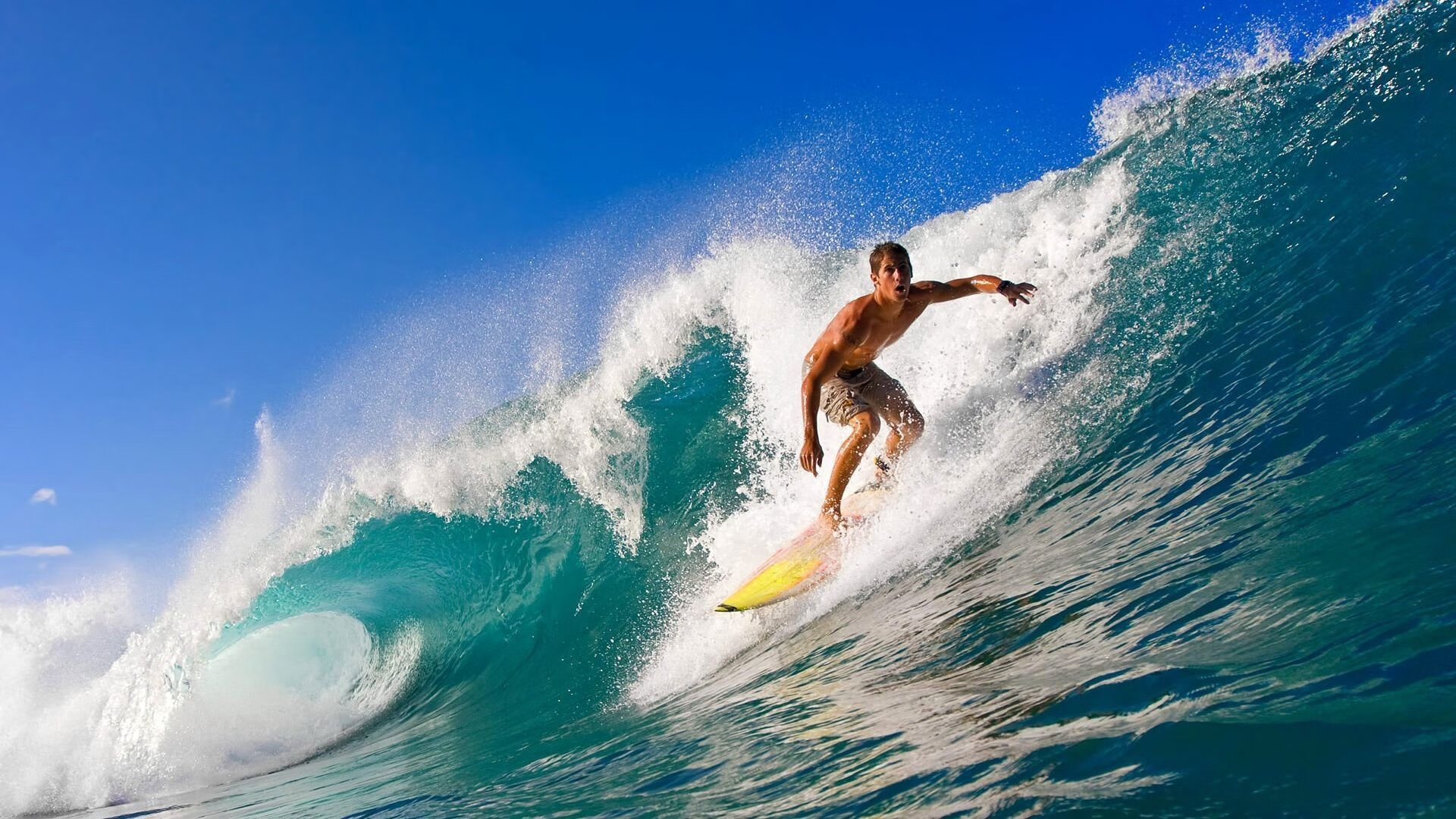 绿茵场与篮球馆的平行叙事,当欧冠半决赛的战术博弈遇见掘金队的速胜哲学